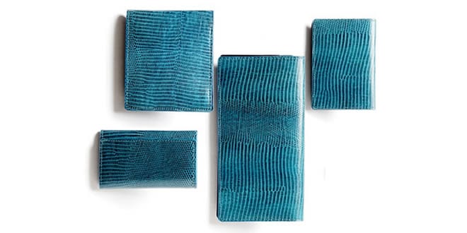 LANVIN en Bleu MEN Accessories