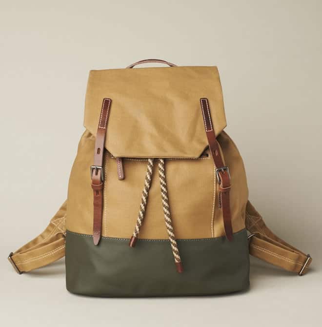Ally Capellino collection