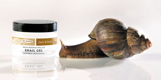 Snail Slime – Great for Anti-Ageing
