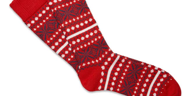 Corgi Socks