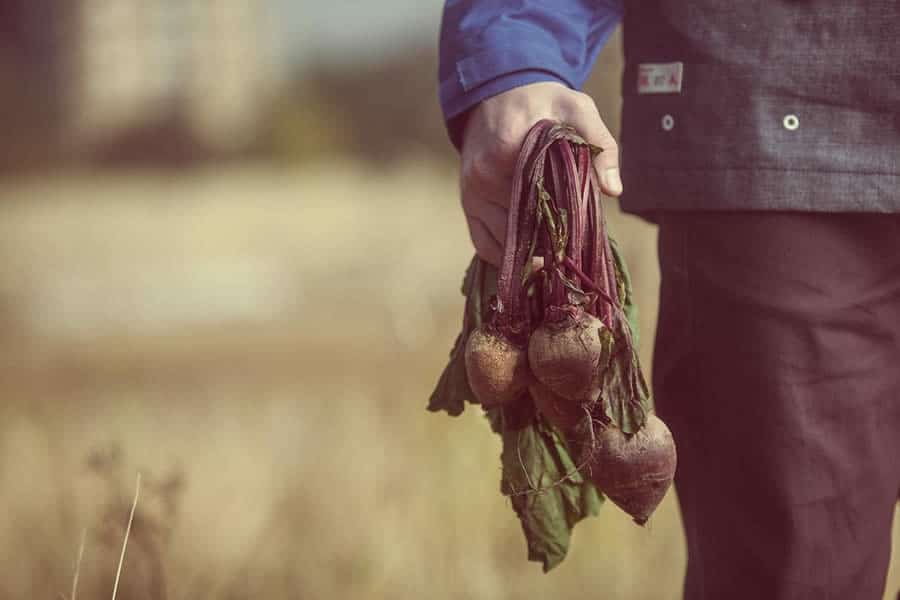 Togs and Clogs Autumn/Winter 2012 Men’s Lookbook - Image #9